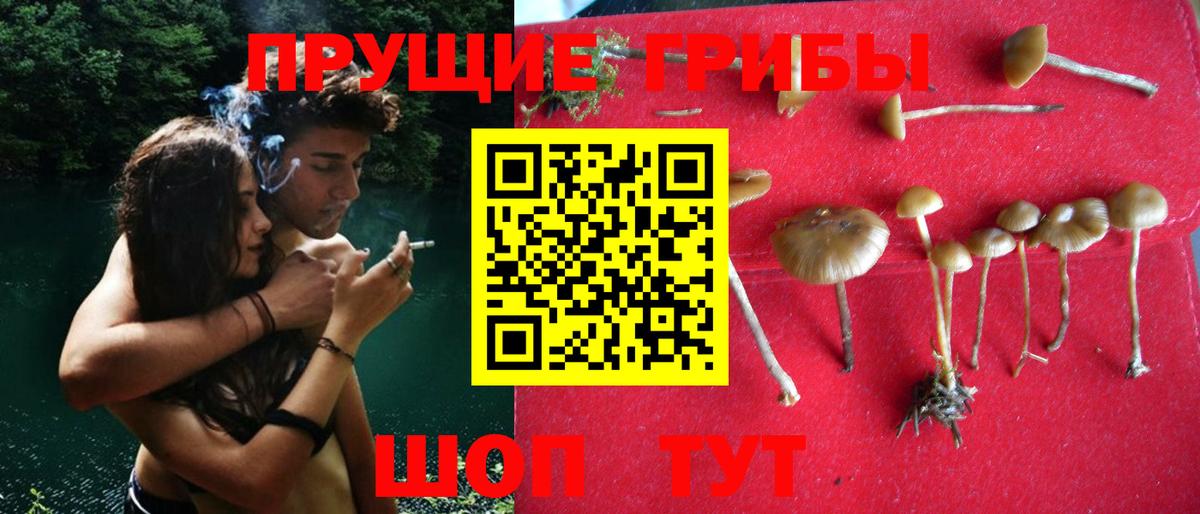 цена   Вход с VPN  Нефтекамск  Галлюциногенные грибы мицелий 